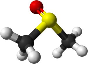 2D molecular structure of Dimethyl Sulfoxide (DMSO) 2D molecular structure of Dimethyl Sulfoxide (DMSO), showing sulfur atom bonded to two methyl groups and an oxygen atom.