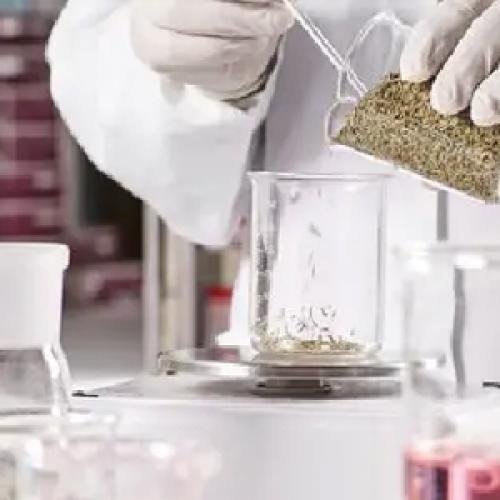 Pharmaceutical Intermediate Supply: Quality, Documentation and Packaging | GOTATI Chemical