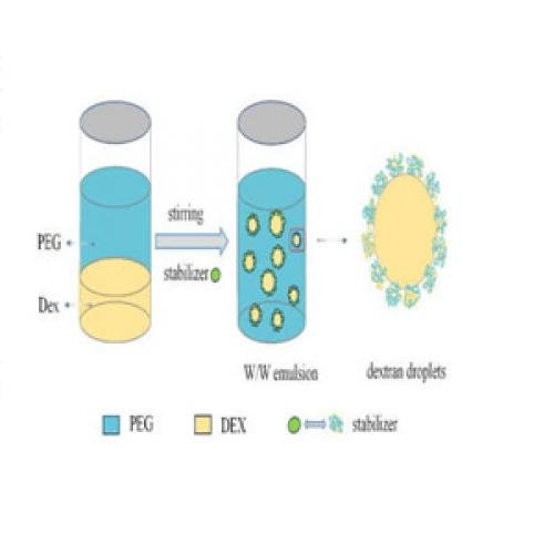 Diamino PEG Linkers for Polymer Modification | GOTATI Chemical