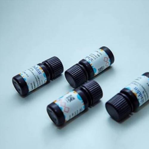 Amino PEG Derivatives for Surface Modification | GOTATI Chemical