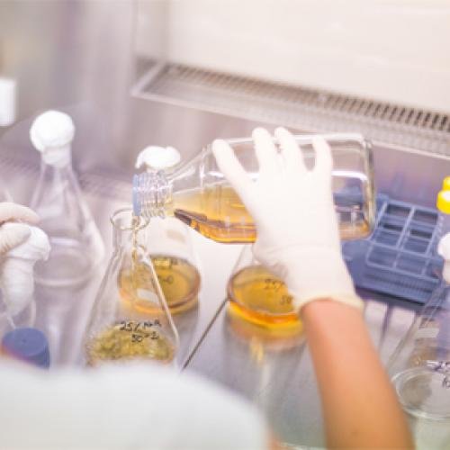 Understanding Polar and Non-polar Solvents: The Ultimate Guide to Solubility
